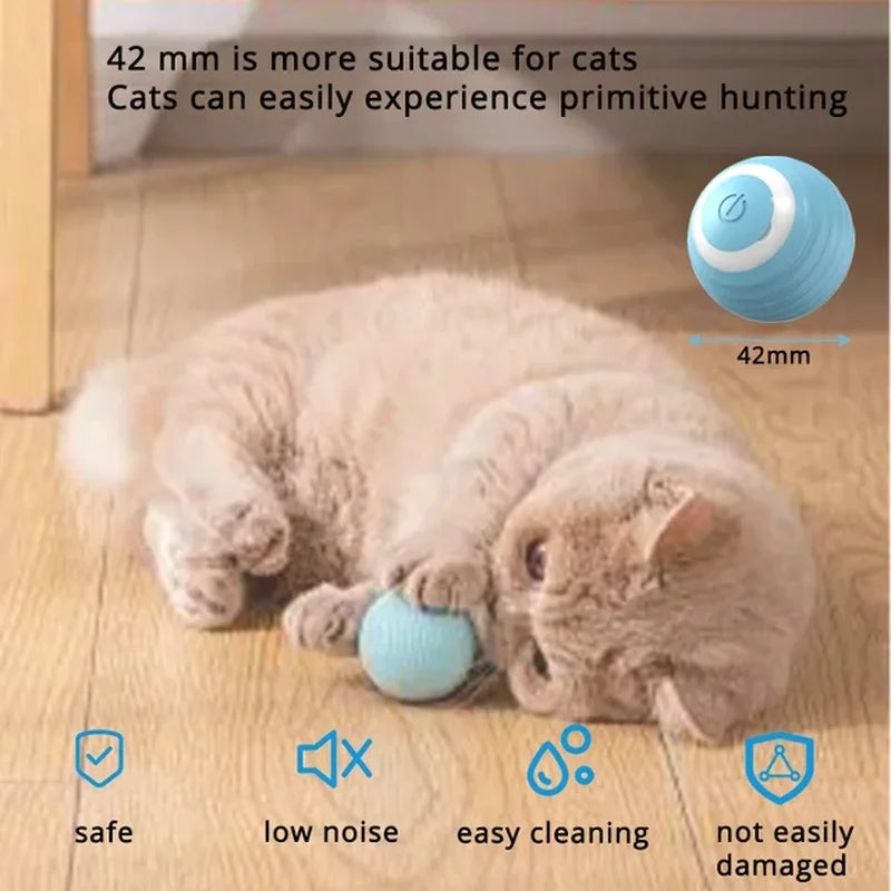 Endless Fun Interactive Cat Ball