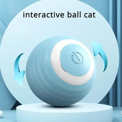 Endless Fun Interactive Cat Ball