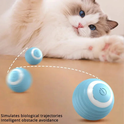 Endless Fun Interactive Cat Ball